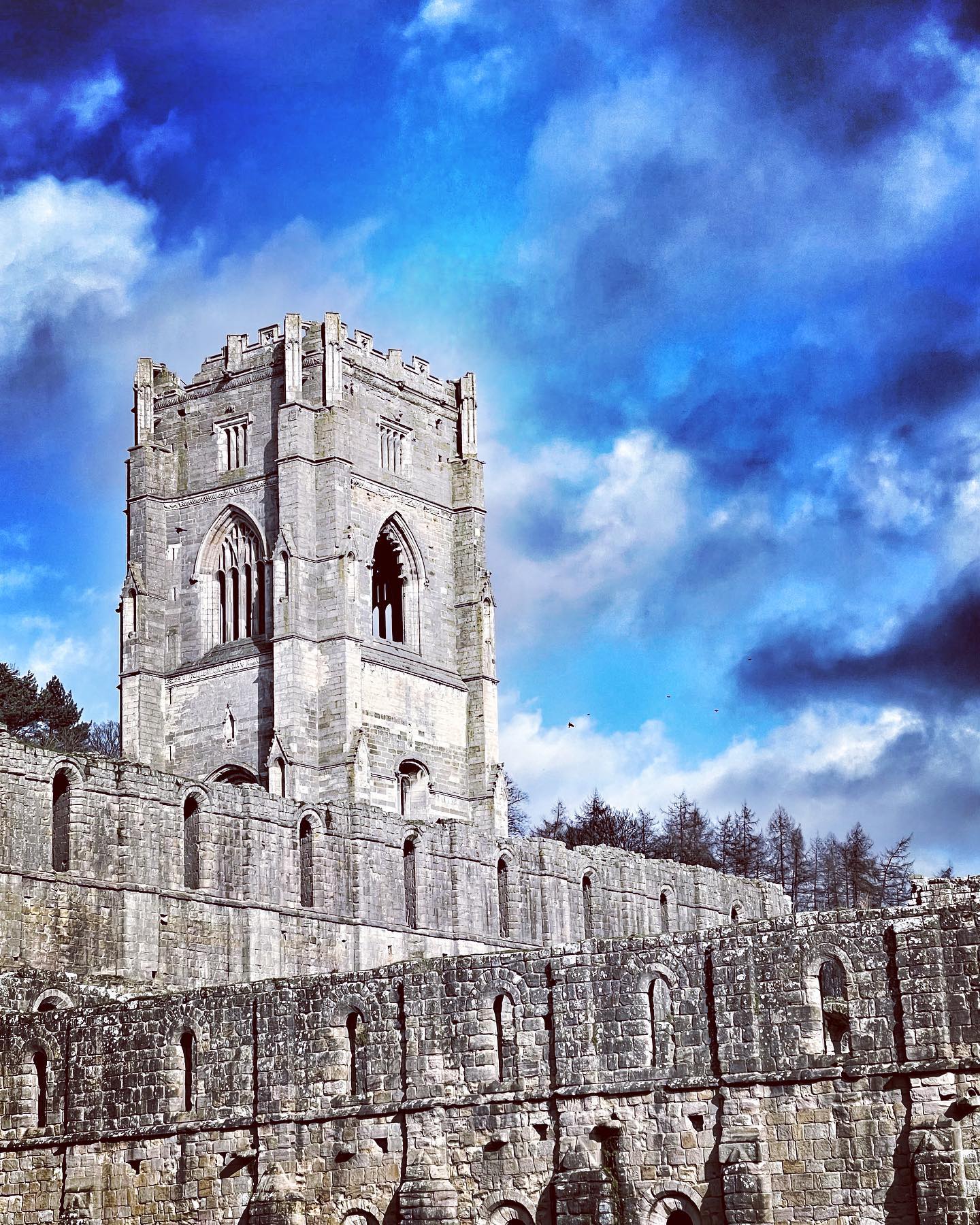 Fountains Abbey

#smlp #iphotography #shotoniphone #fountainsabbey #nationaltrust