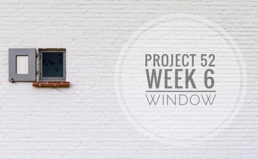 Project 52 – Week 6: Window #P52