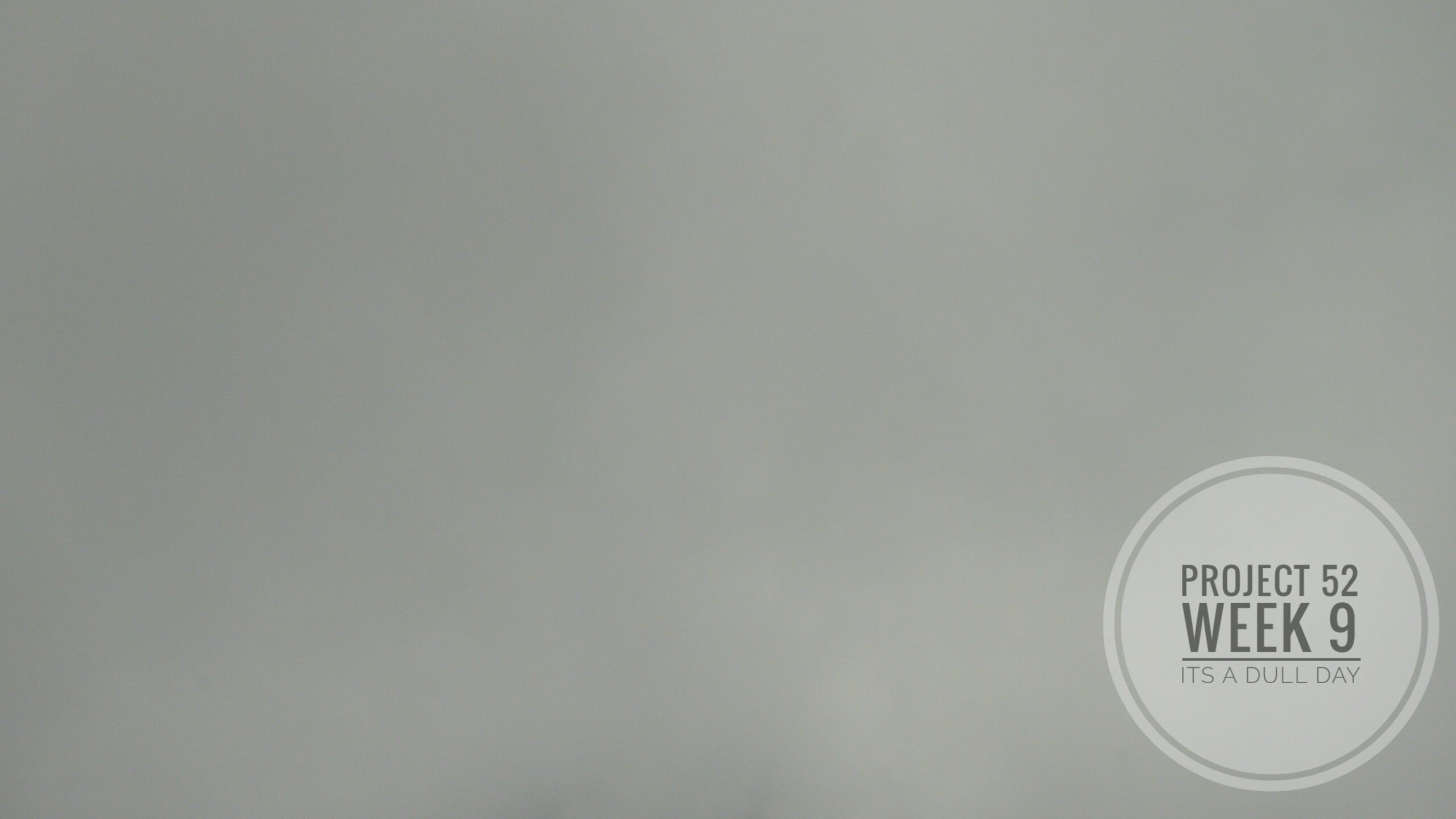 Project 52 – Week 9: It’s a dull day